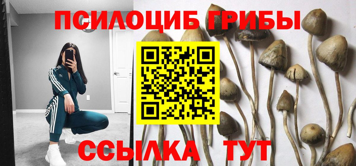 Галлюциногенные грибы прущие грибы  Вход с VPN  Богородск 